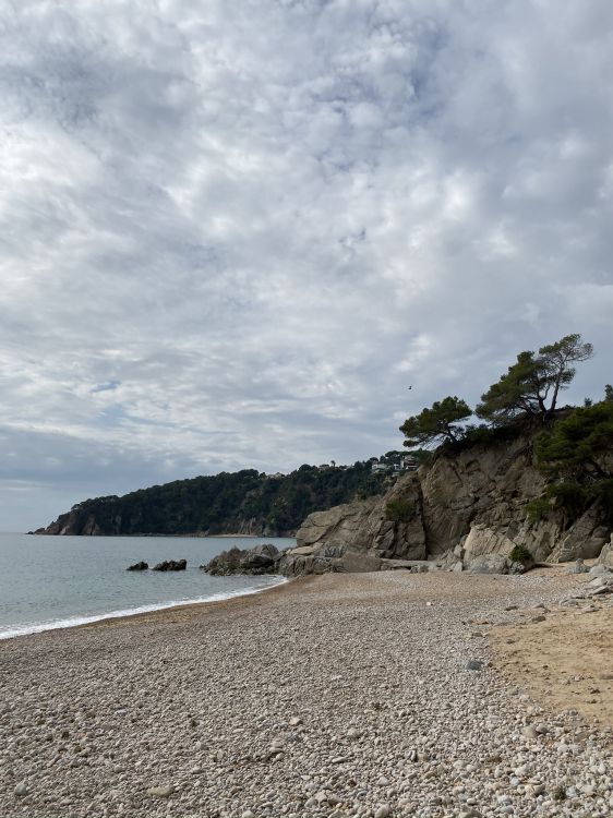 Обои побережье, вода, берег, облако, Банк в разрешении 1536x2048