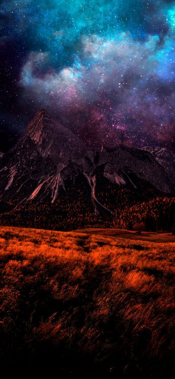 Обои земля, растение, атмосфера, экорегион, природный ландшафт в разрешении 2160x4680