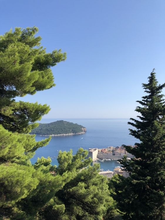 Обои пейзажи гор, фьорд, вода, дерево, лазурный в разрешении 1536x2048