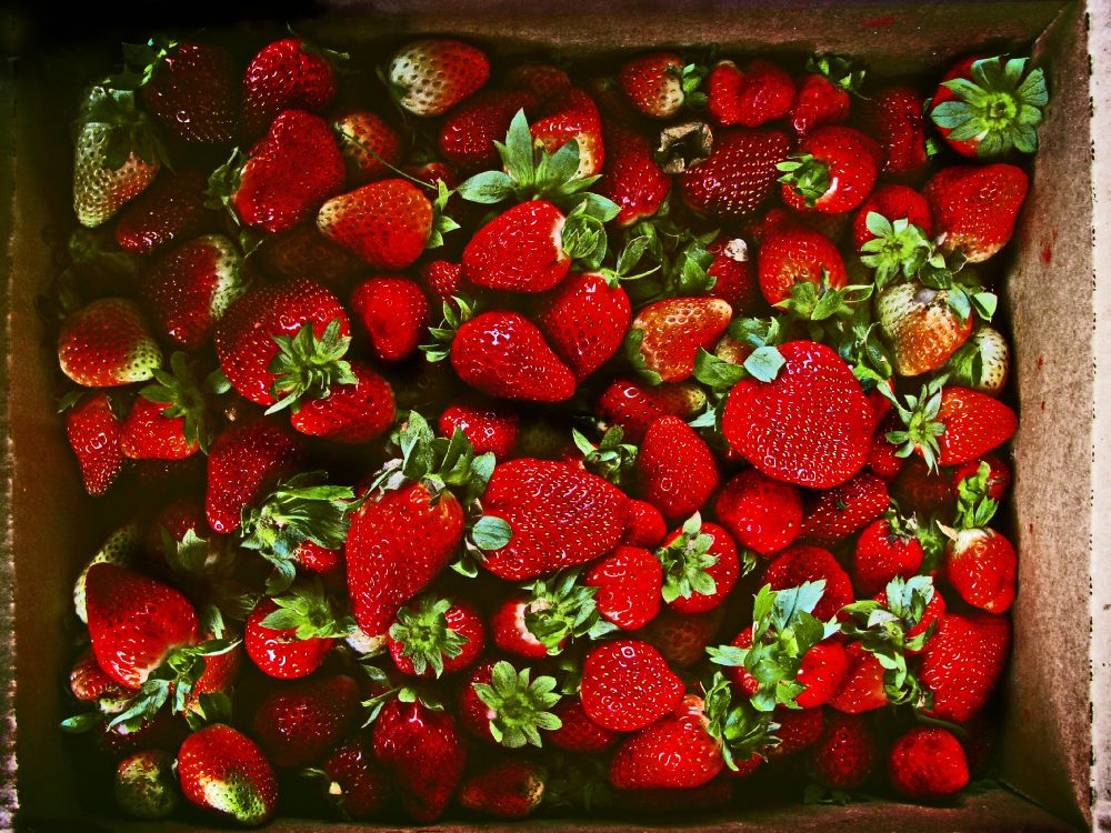 Обои клубника, ягоды, фрукты, красный цвет, пища в разрешении 3264x2448
