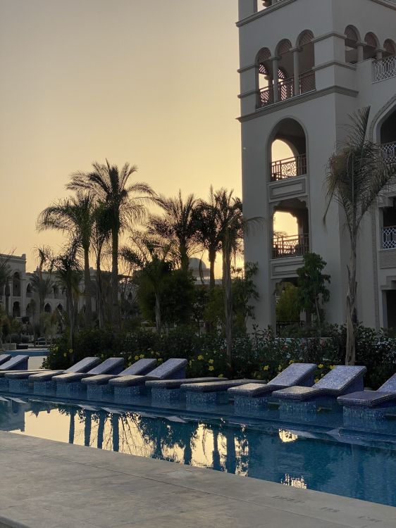 Обои отражение, плавательный бассейн, пальмовые рощи, недвижимость, вода в разрешении 1536x2048