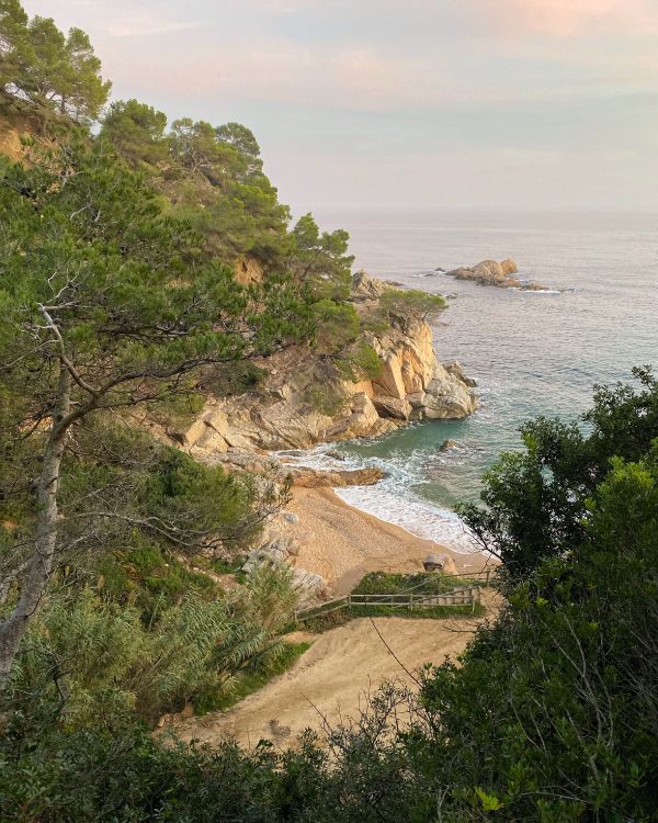 Обои побережье, мыс, природный ландшафт, берег, Банк в разрешении 3024x3780