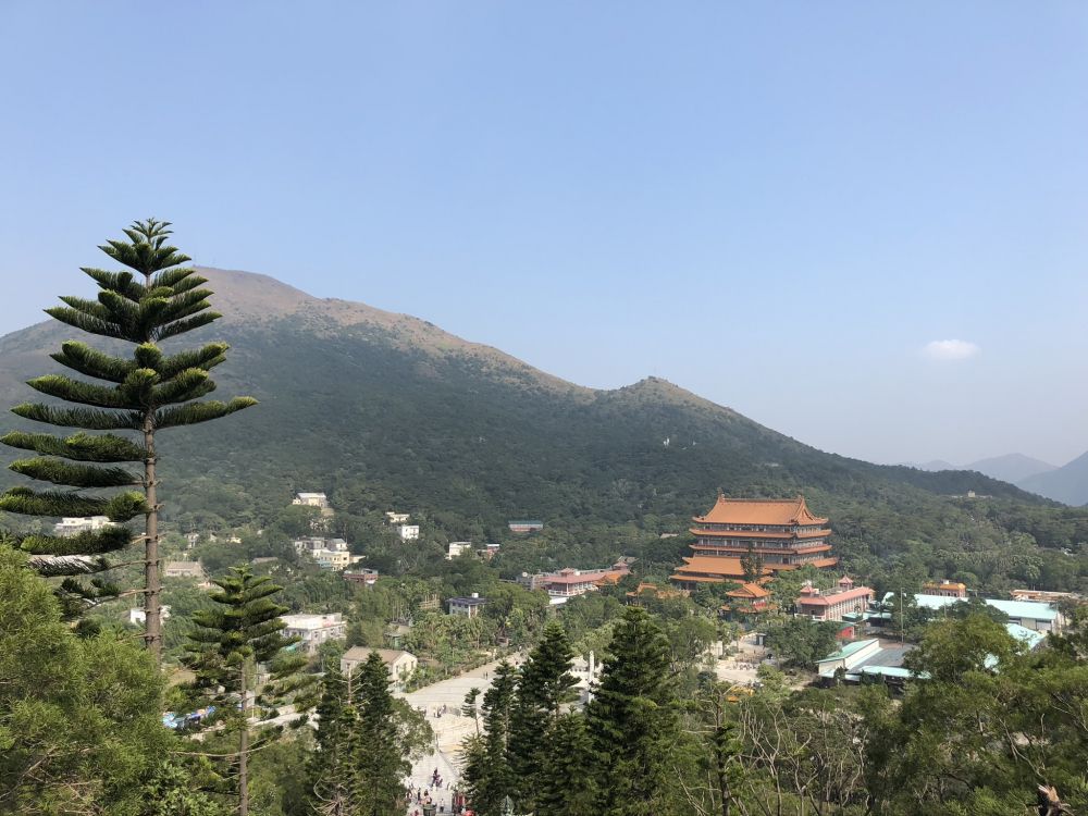 Обои растительность, горный рельеф, холм, дерево, горный хребет в разрешении 2048x1536