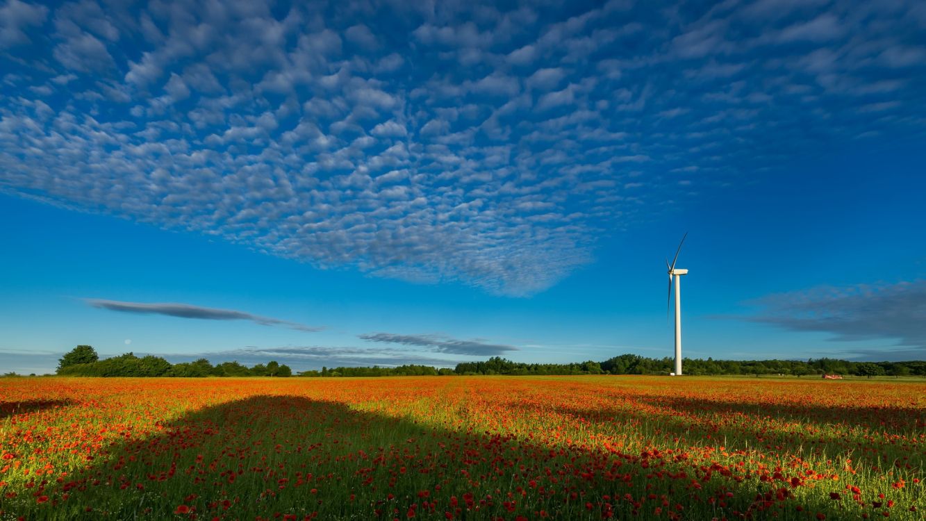Обои ветровая турбина, поле, сенокосное угодье, прерия, равнина в разрешении 2048x1152