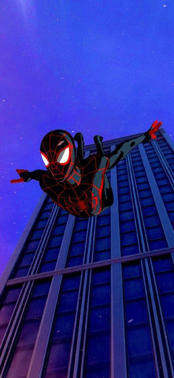 Обои смешной, смешной мем, Юмор, синий, лазурный в разрешении 1125x2436