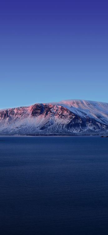 Обои Vivo, Vivo NEX Dual Display, Виво Некс, яблоко, андроид в разрешении 1080x2340