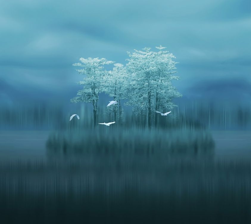 Обои Huawei, Huawei Mate, Huawei Mate 10, huawei mate 20 x, huawei mate 20 pro в разрешении 2880x2560