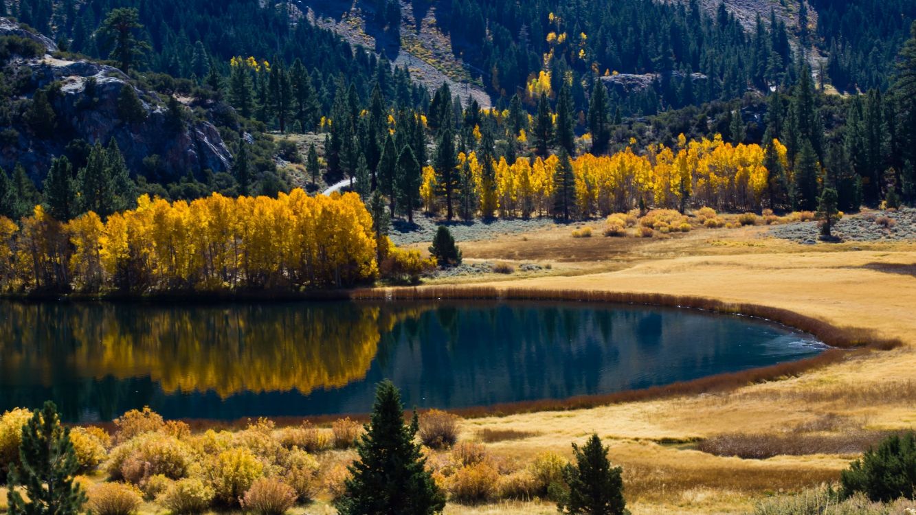 Обои осень, природа, дикая местность, дерево, отражение в разрешении 5120x2880