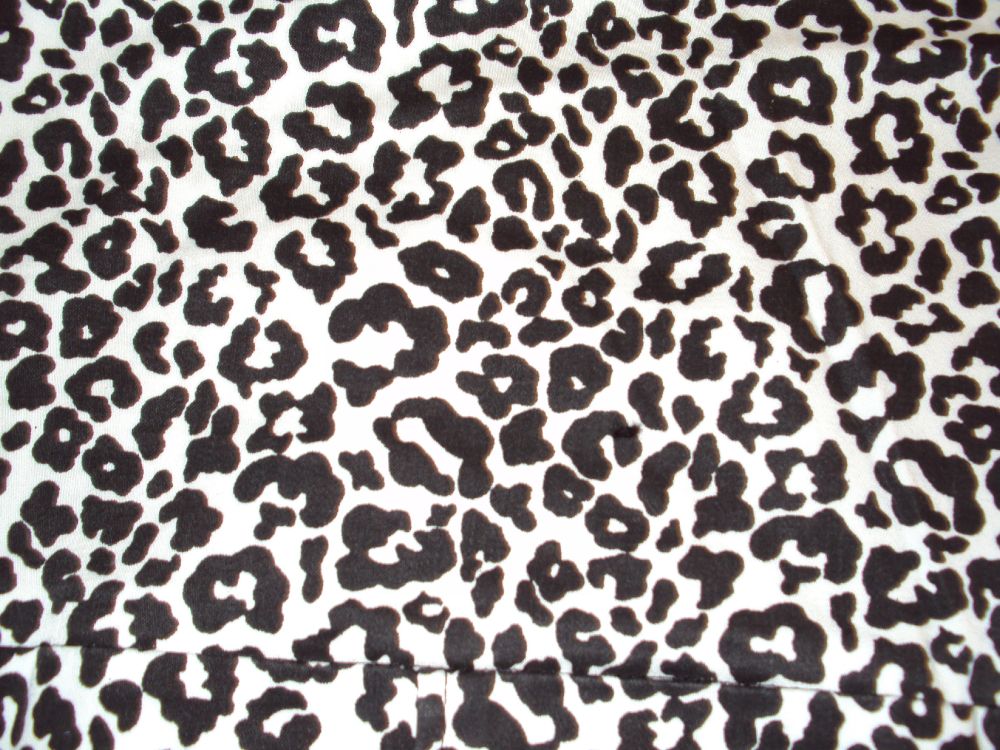 Обои Леопард, Гепард, животных печати, узор, дизайн в разрешении 3648x2736