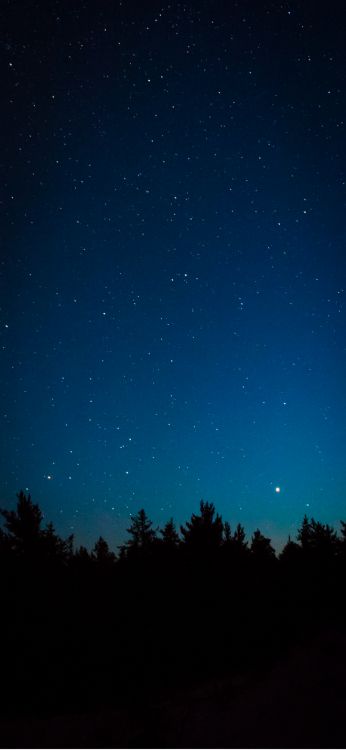 Обои Астрономия, атмосфера, природный ландшафт, окружающая среда, дерево в разрешении 1356x2934