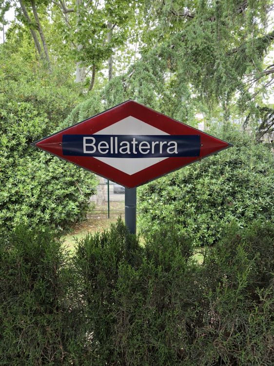 Обои природный заповедник, растительность, ветвь, растительное сообщество, знак в разрешении 1536x2048