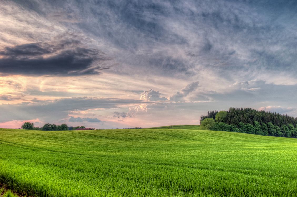 Обои поле, луг, природа, сенокосное угодье, облако в разрешении 2560x1700