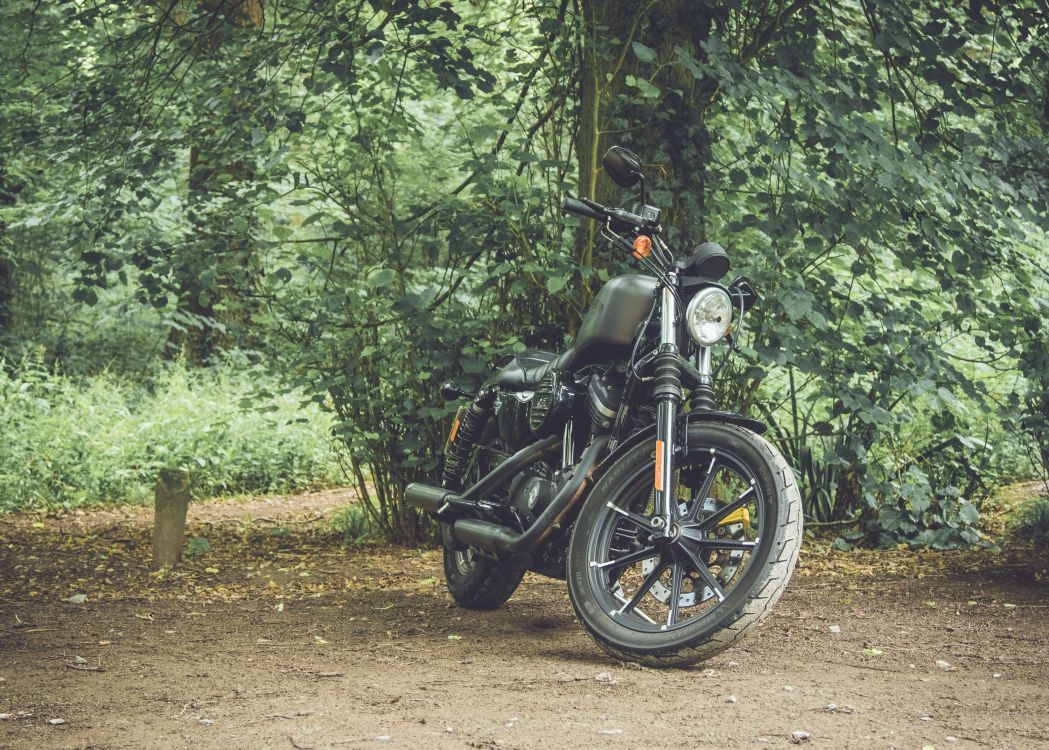 Обои мотоцикл, джунгли, дерево, грунтовая дорога, автомобильные шины в разрешении 3000x2143