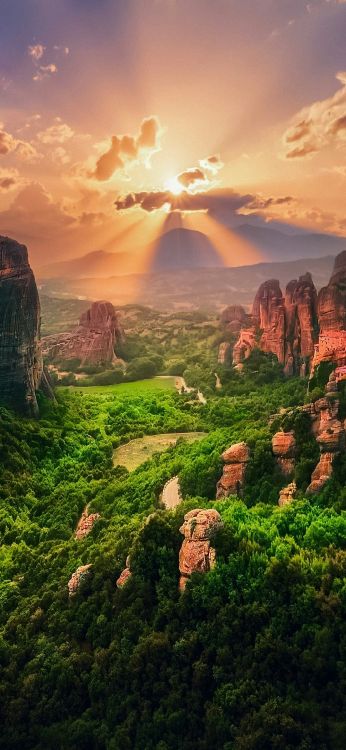 Обои природа, пейзаж, свет, облако, растение в разрешении 1080x2340