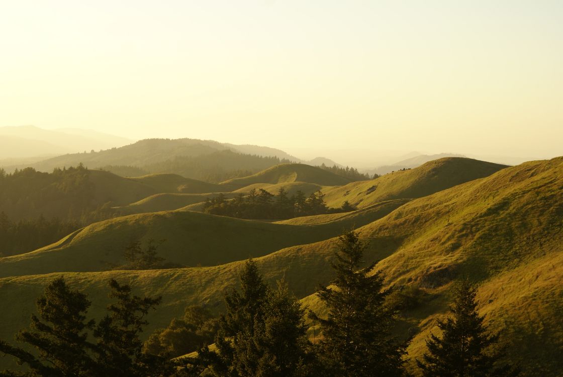 Обои Государственный парк горы Тамалпаис, гора, растительное сообщество, экорегион, природный ландшафт в разрешении 3872x2592