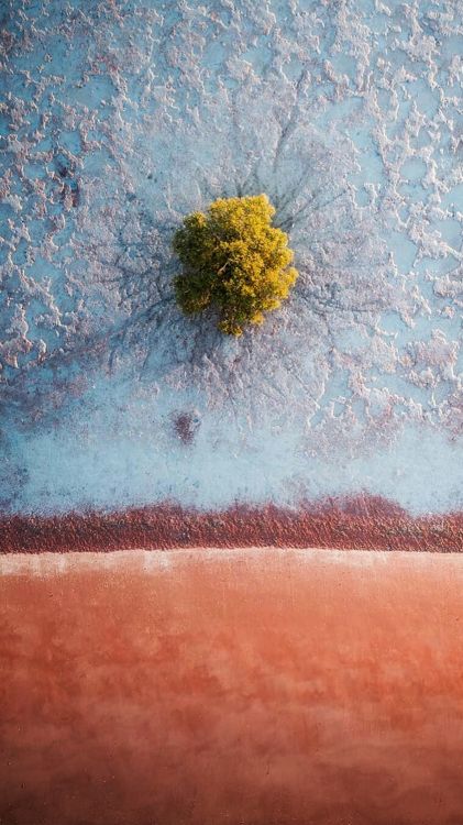 Обои натюрморт, визуальное искусство, арт, акварельная живопись, произведение искусства в разрешении 1080x1920