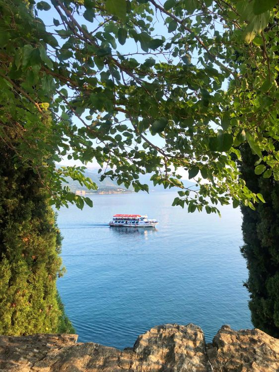 Обои вода, растительное сообщество, биология, наука, судно в разрешении 1536x2048