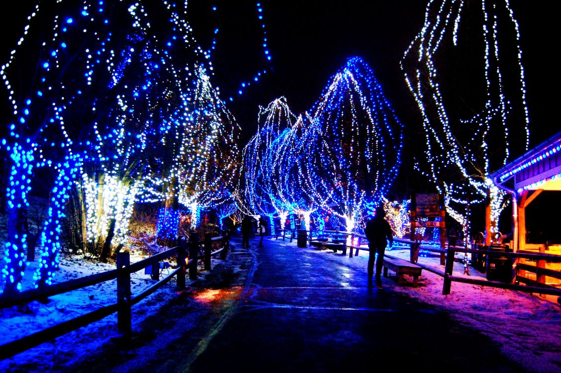 Обои Рождественский день, Рождественские огни, синий, свет, освещение в разрешении 3008x2000