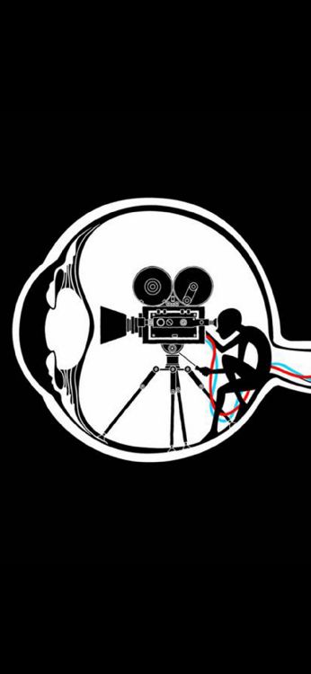 Обои постер, голова, арт, кость, череп в разрешении 1080x2340