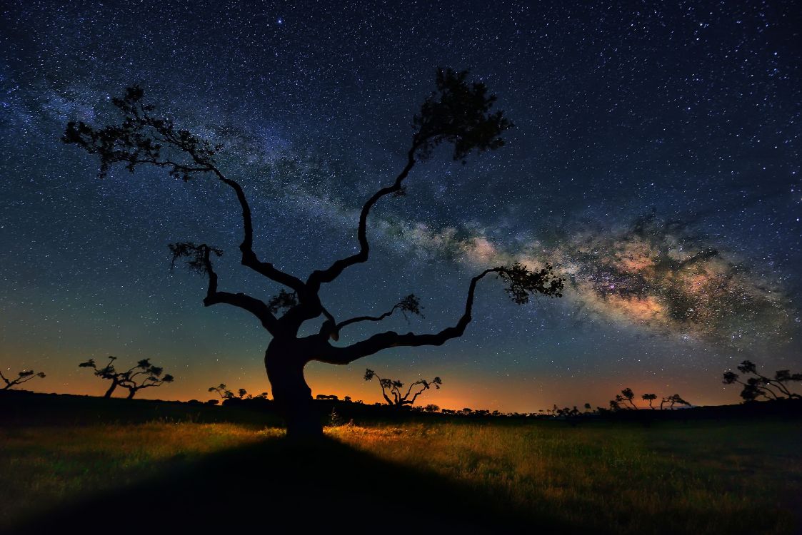 Обои Млечный Путь, Галактика, звезда, Астрономия, ночное небо в разрешении 6016x4016