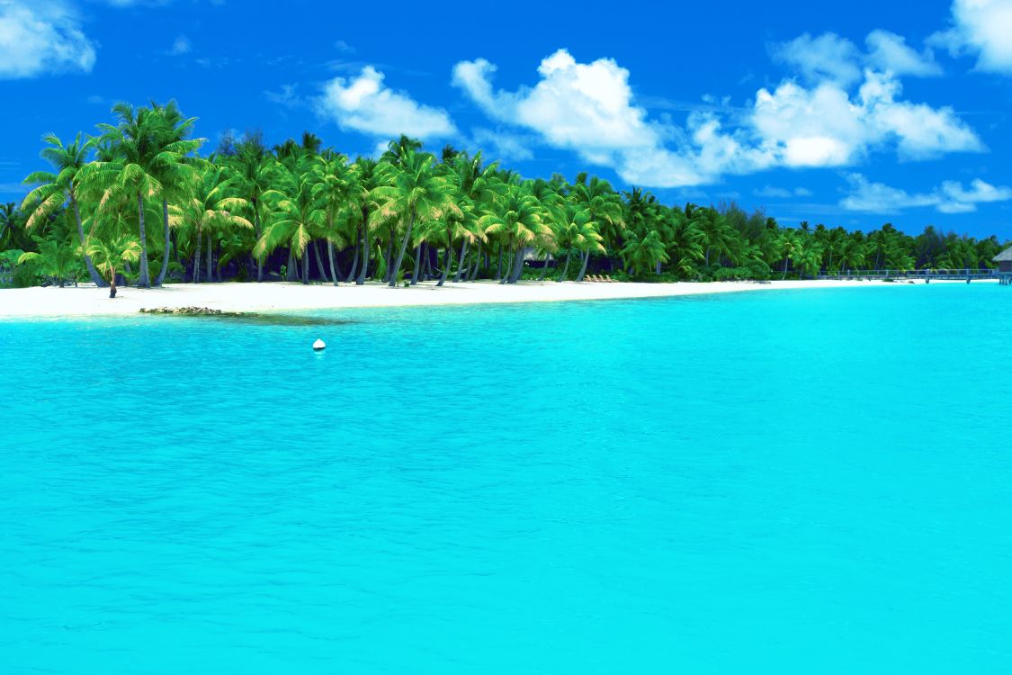 Обои лето, тропическая зона, море, Карибский бассейн, прибрежные и океанические рельефы в разрешении 3888x2592
