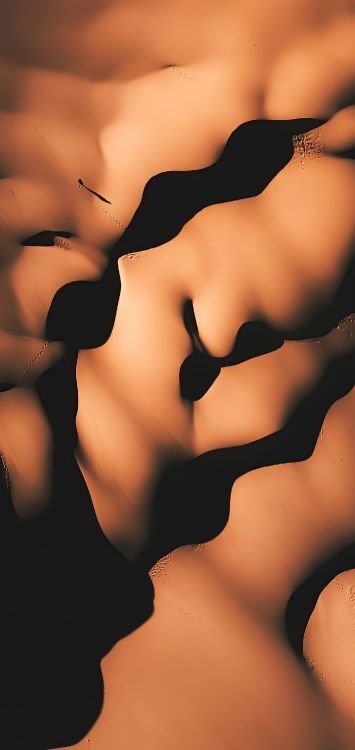 Обои крупный план, биология человека, человеческий скелет, биология, шея в разрешении 1420x3000