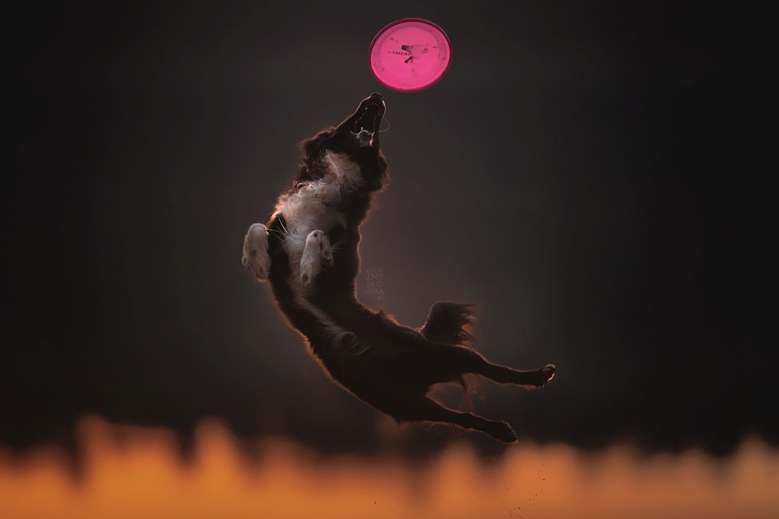 Обои атмосфера земли, земля, темнота, ночь, атмосфера в разрешении 2048x1365