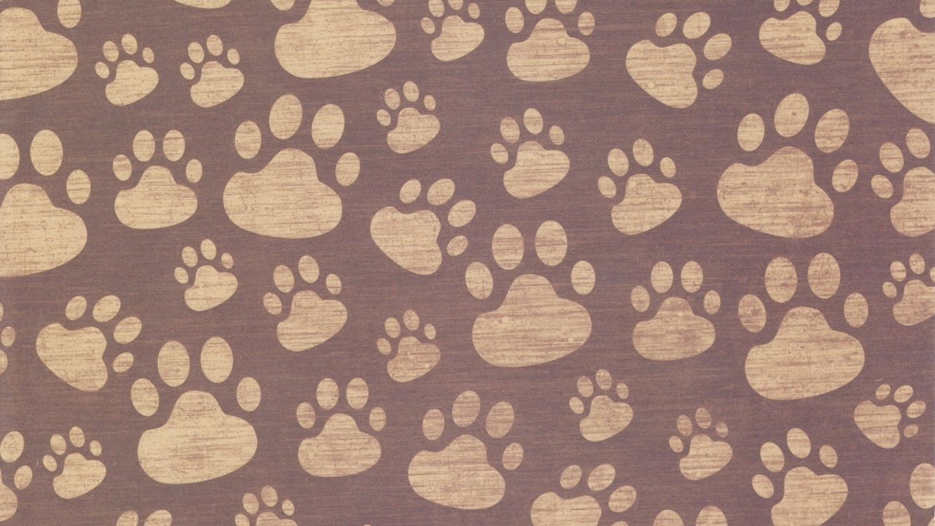 Обои кот, узор, коричневый цвет, дизайн, ткань в разрешении 3840x2160