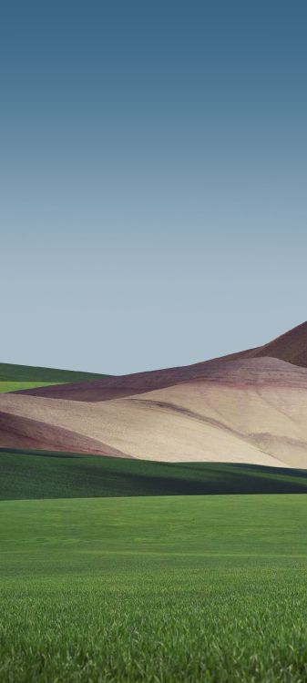 Обои сенокосное угодье, растение, природный ландшафт, склон, нагорье в разрешении 1080x2400