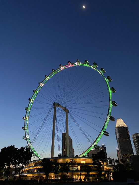 Обои достопримечательности Сингапура, колесо обозрения, природа, дневное время, метрополия в разрешении 1536x2048