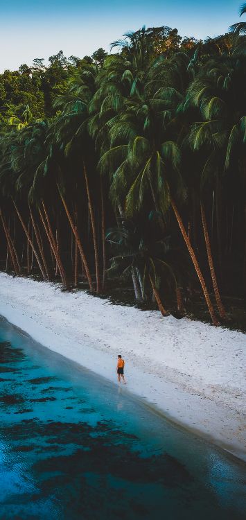 Обои вода, гидроресурсы, растение, природа, лист в разрешении 1421x3000