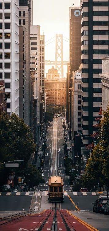 Обои Питер Сага, здание, небоскреб, свет, инфраструктура в разрешении 1439x3038