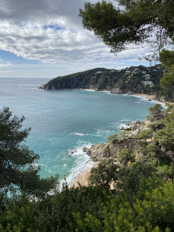 Обои побережье, водоем, дорога, природа, горный рельеф в разрешении 1536x2048