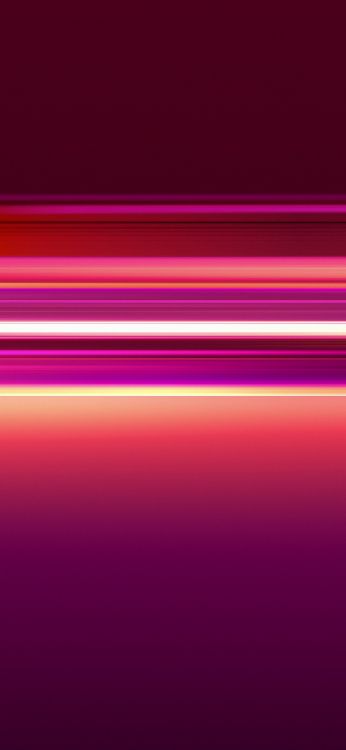 Обои apple, iPhone, iOS 14, iOS 14 DUAL, яблоко в разрешении 1125x2436