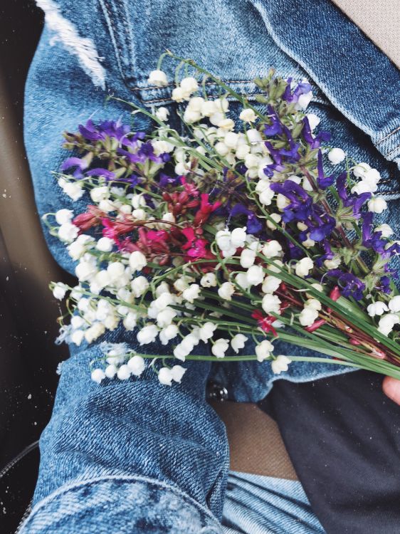 Обои срезанные цветы, цветочный дизайн, цветочный букет, наука, синий в разрешении 3024x4032