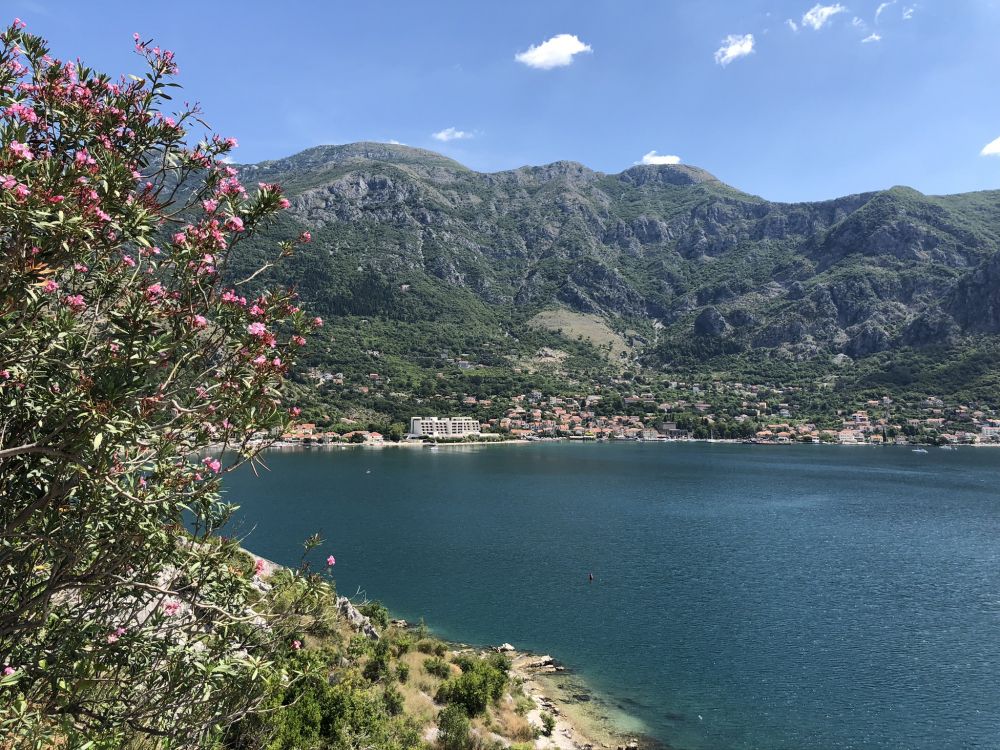 Обои растительность, водоем, природа, горный рельеф, побережье в разрешении 2048x1536