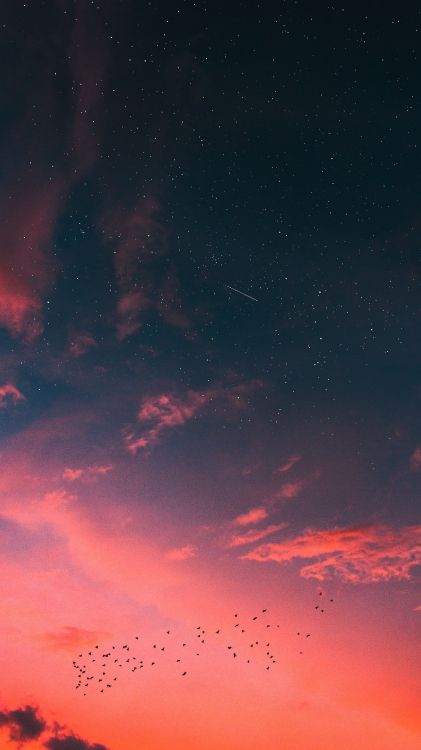 Обои Найк закат, закат, природа, облако, атмосфера в разрешении 2160x3840