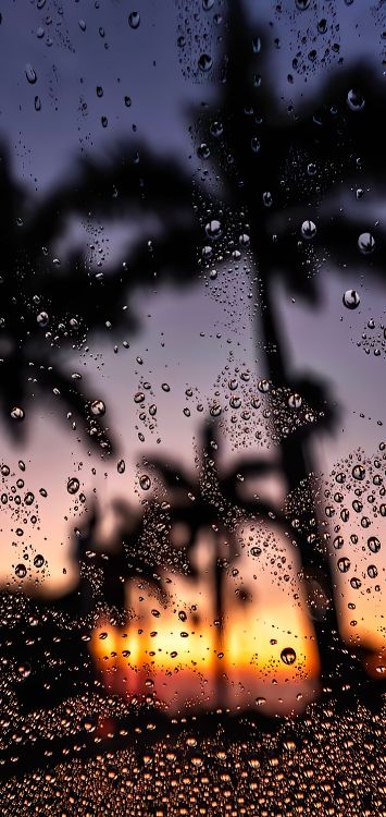 Обои вода, жидкий, атмосфера, свет, природа в разрешении 1422x3000