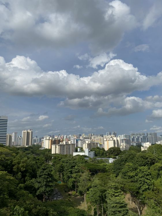 Обои растительность, дневное время, башня, облако, городской район в разрешении 1536x2048