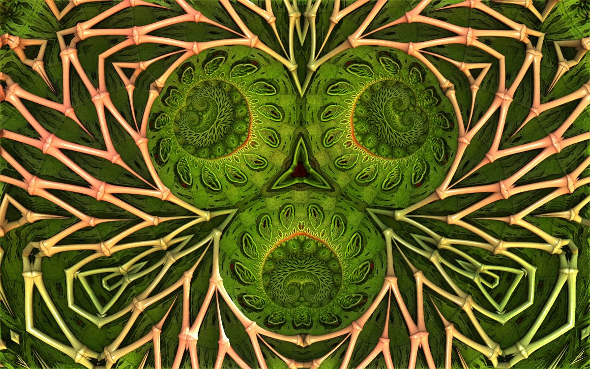 Обои узор, лист, ботаники, наземное растение, растительность в разрешении 2880x1800