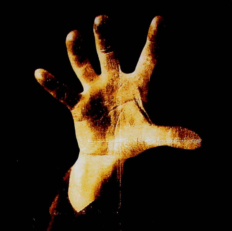 Обои System Of A Down, Альтернативный метал, палец, человек, плоть в разрешении 2588x2568