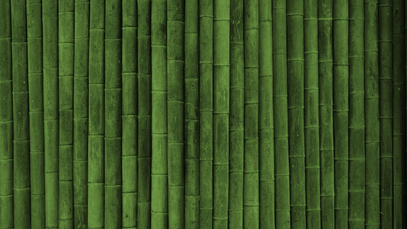 Обои бамбук, зеленый, семейство травы, стебель растения, трава в разрешении 3840x2160