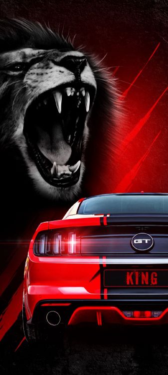 Обои легковые автомобили, спорткар, Фольксваген, автомобильное освещение, капюшон в разрешении 1080x2400