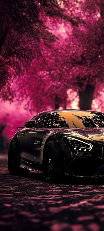 Обои легковые автомобили, спорткар, nissan gt r, Майбах Exelero, nissan skyline gt r в разрешении 1440x3200