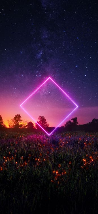 Обои природа, растение, атмосфера, свет, зеленый в разрешении 1080x2340