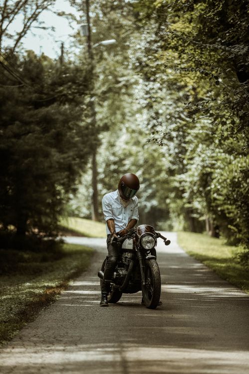 Обои мотоциклетный шлем, мотоцикл, мотоспорт, дерево, солнечный свет в разрешении 2976x4464
