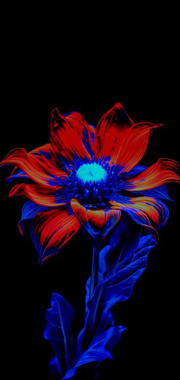 Обои цветок, цветковое растение, лепесток, пурпур, Фиолетовый в разрешении 3264x6891