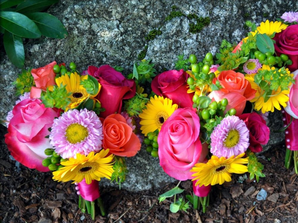 Обои флористика, срезанные цветы, флористики, растение, цветочный дизайн в разрешении 2048x1536