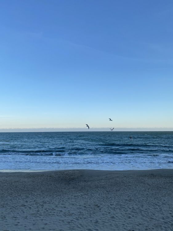 Обои море, Onoville Marina Park, Onoville, пляж, палаточный лагерь в разрешении 1536x2048