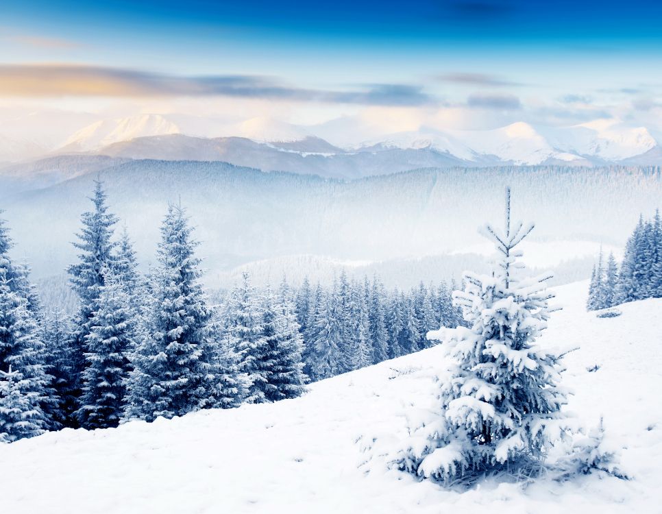Обои зима, снег, дерево, гора, замораживание в разрешении 4620x3584